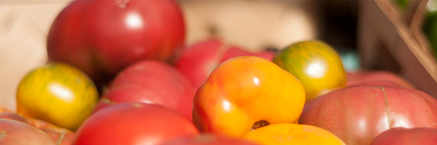 Johns Island Farmers Market