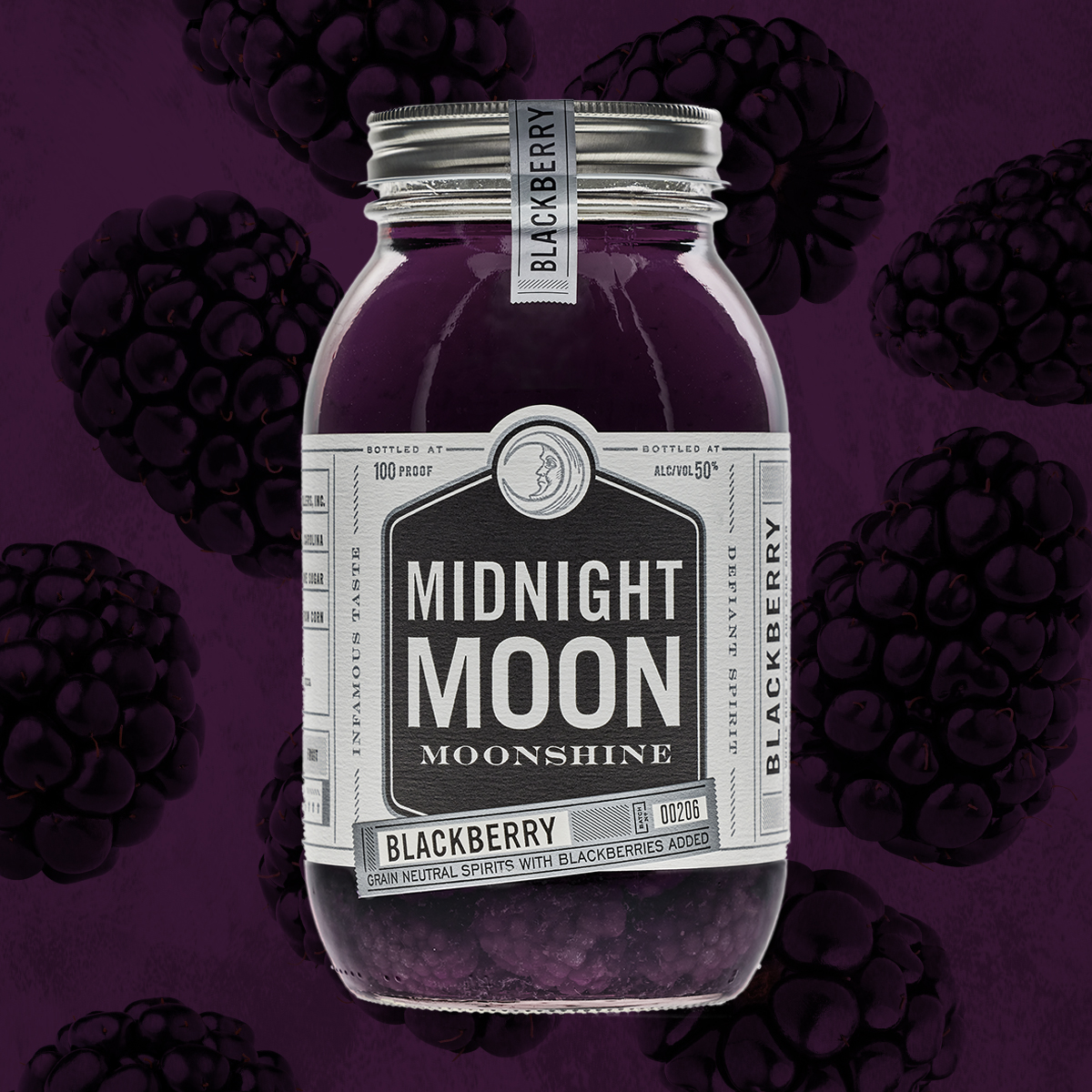 Midnight Moon Frame 6