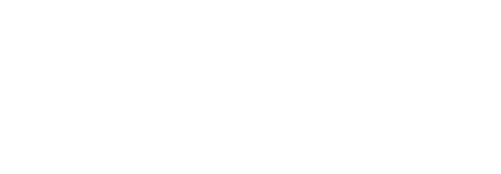 New York Life